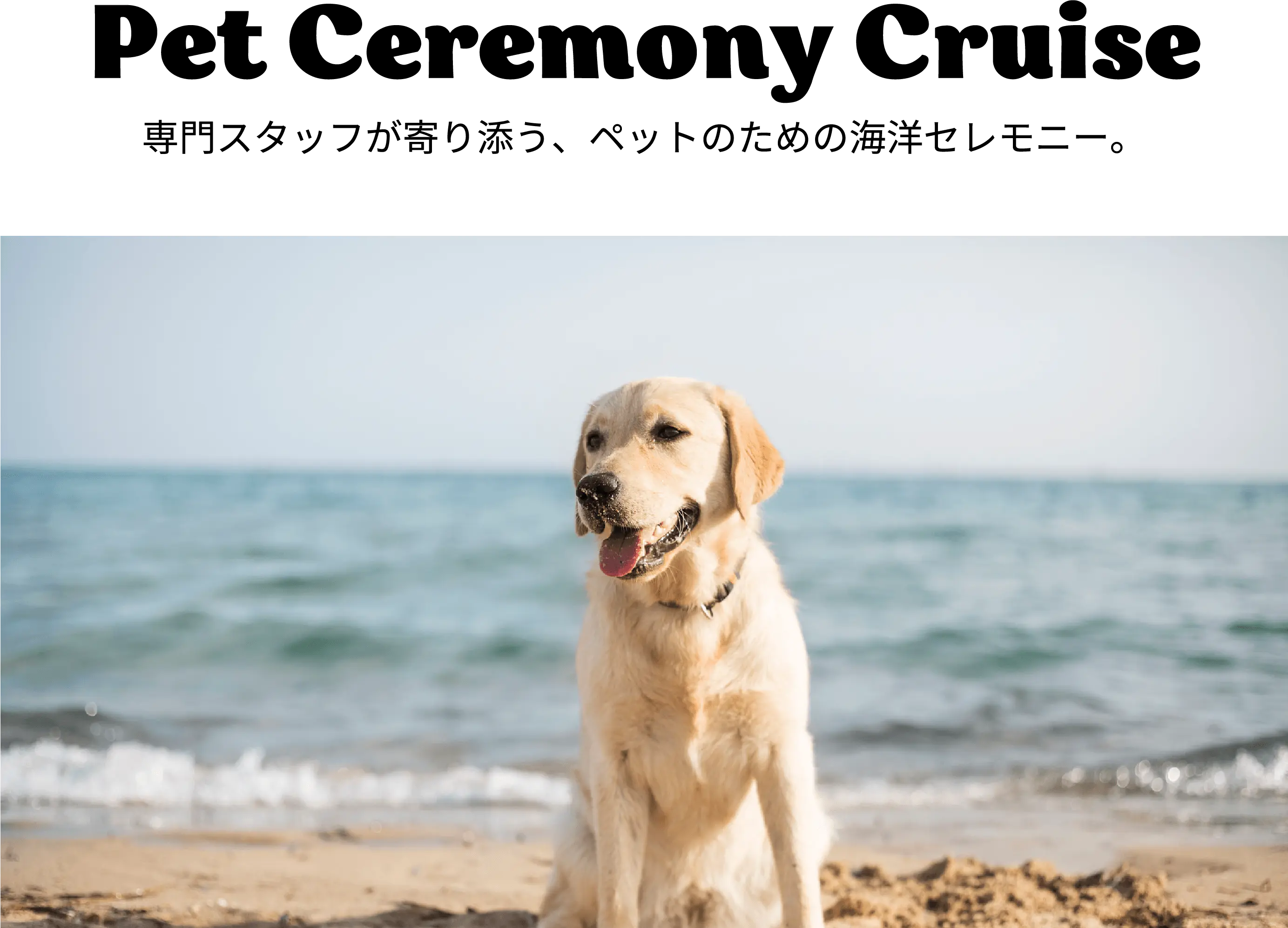 Pet Ceremony Cruise ヒーロー画像