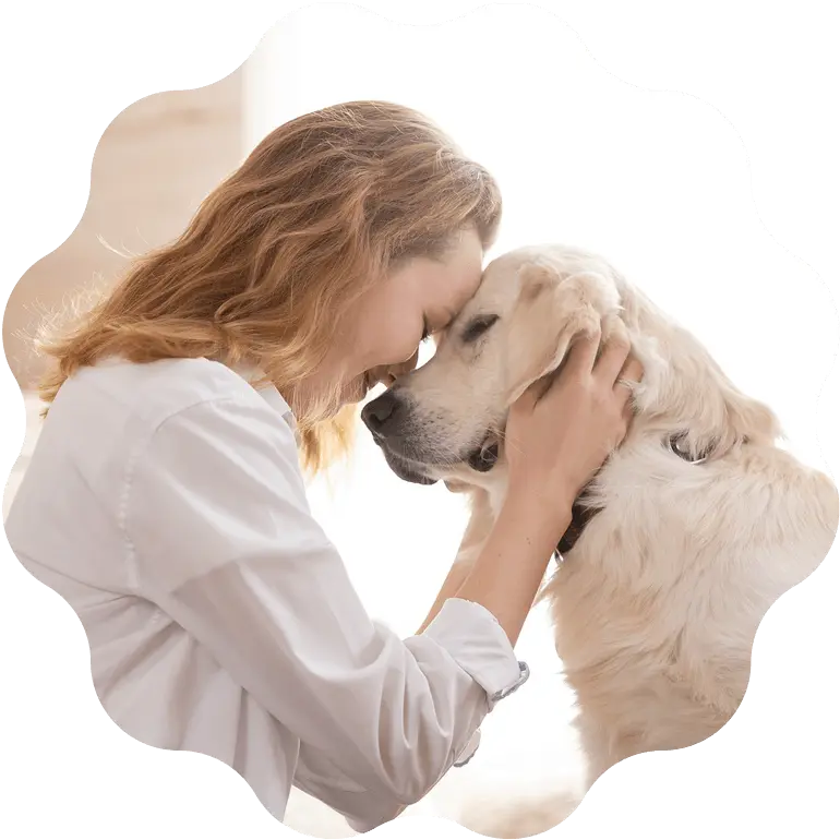 代表者一人同乗のイメージ