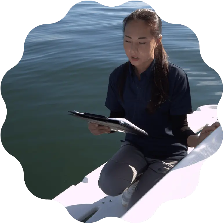 コーディネーター施行のイメージ