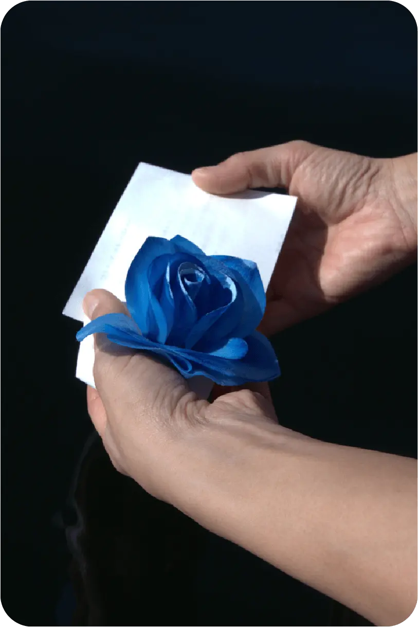 セレモニー施行のイメージ